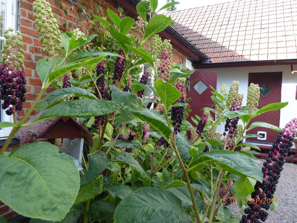 Akarpsvaegen Vacation Home Треллеборг Екстер'єр фото
